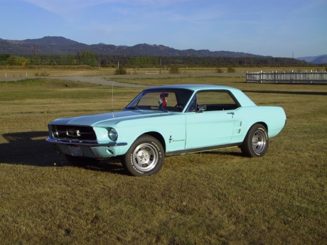 The Ford Barracuda was one of the competitors along with the Mercury Cougar